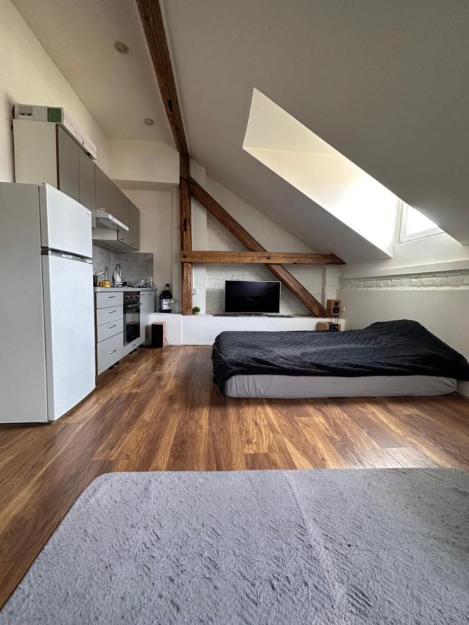 Central Studio Загреб Экстерьер фото